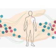 La prospettiva Polivagale in Biodinamica Craniosacrale