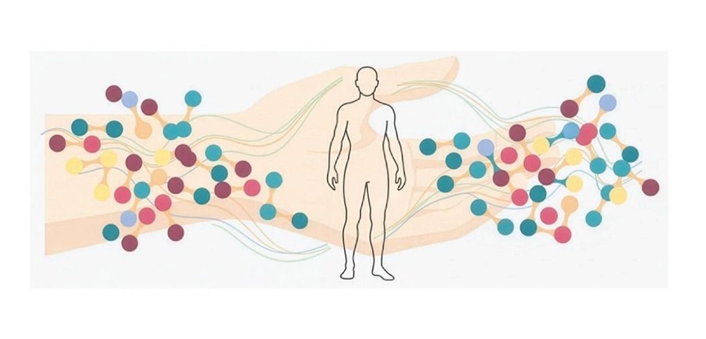 La prospettiva Polivagale in Biodinamica Craniosacrale