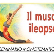 Il muscolo Ileopsoas