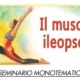 Il muscolo Ileopsoas