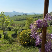 Il Rituale del Contatto