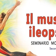 Il muscolo Ileopsoas - seconda edizione 2026
