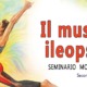 Il muscolo Ileopsoas - seconda edizione 2026